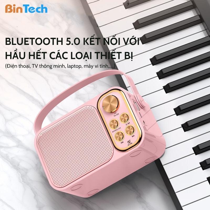 Loa bluetooth mini karaoke kèm mic BINTECH YS 105 Không dây, kèm 02 mic hát công suất 15W - Bảo hành 06 Tháng