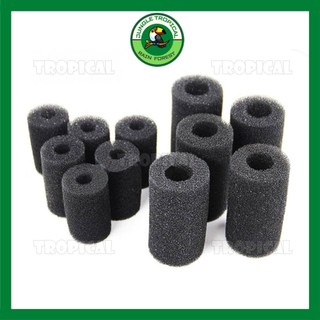 Bịt tép mút xốp đen - phi 12 - phi 16 - phi 22 mm - ngăn hút cá tép con vào máy lọc hồ thủy sinh - kiêm lọc bio