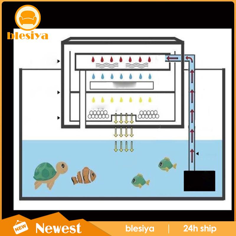 Hộp Lọc Chìm Cho Bể Cá Tiện Dụng