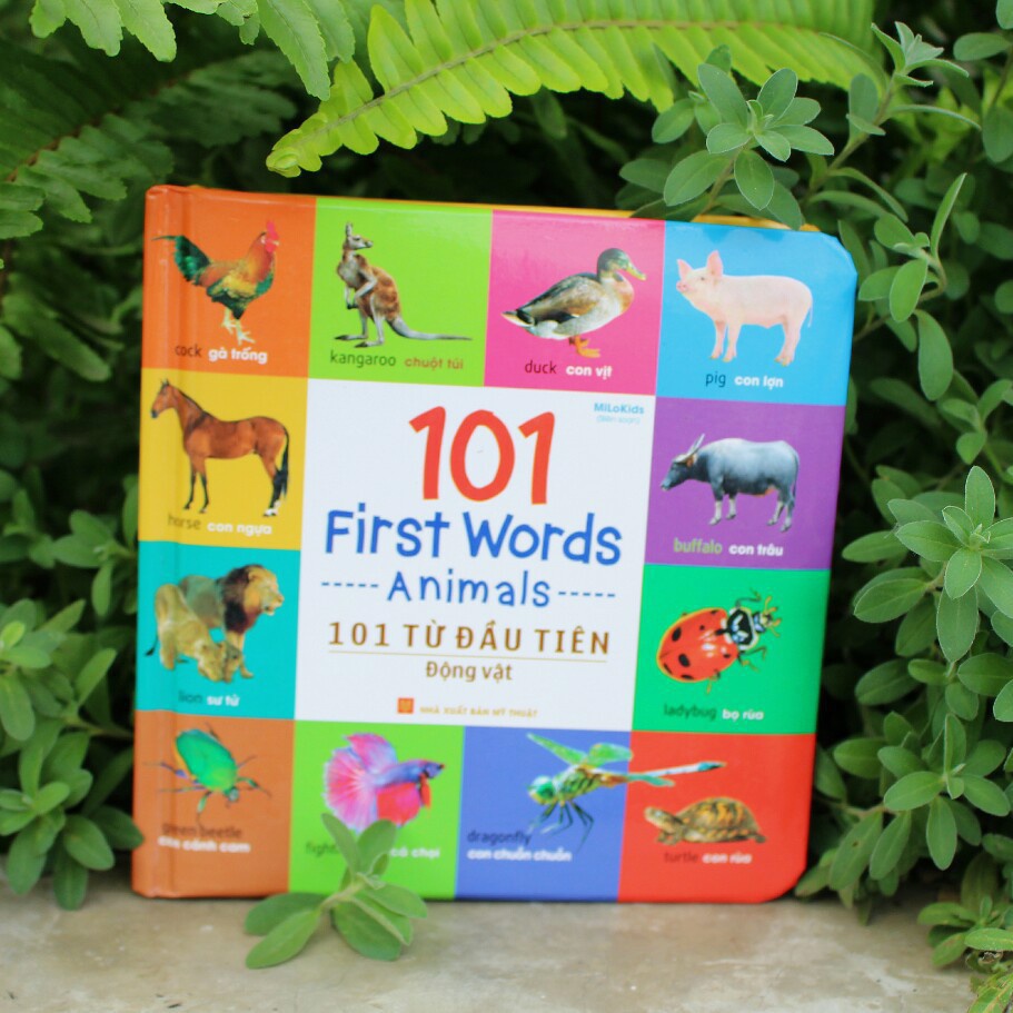 Sách: Combo 101 Từ Đầu Tiên - Bảng chữ cái, đồ dung thân thiết, động vật, giao thông, thực vật, hình dạng (Lẻ tuỳ chọn)