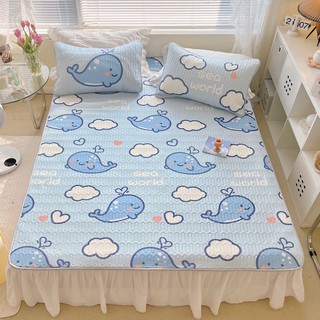 set chiếu cao su non latex 5d [ SIÊU ÊM - SIÊU MÁT ] mặt vải thun lạnh , chun cài 4 góc cá heo