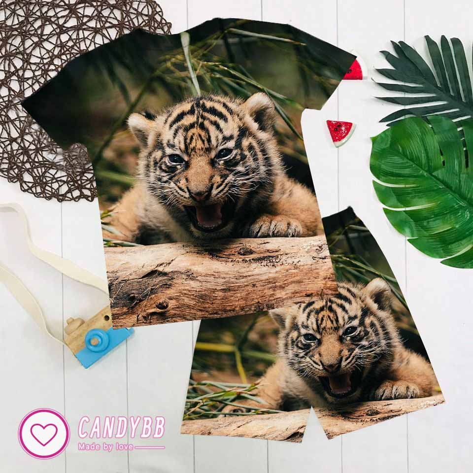 Đồ bộ bé trai, bộ thun lạnh in hình đại bàng và cọp 3D siêu ngầu, nhiều mẫu chất đẹp, thấm hút mồ hôi từ 10kg đến 60kg