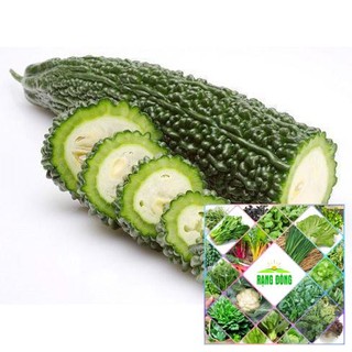 Gói 10 hạt giống mướp đắng rừng