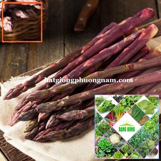 10H - HẠT GIỐNG MĂNG TÂY TÍM Hạt Giống Nông Trại Xanh THE GARDEN