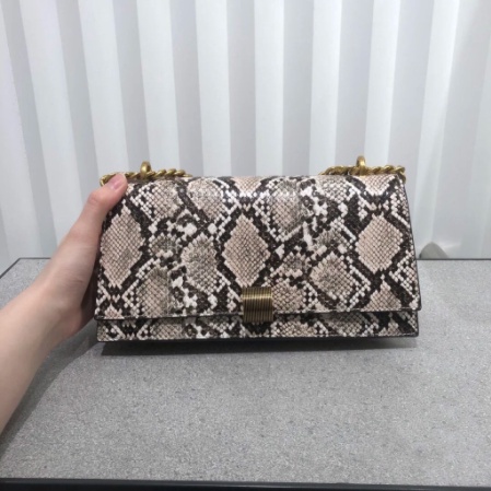 Túi Xách Họa Tiết Da Rắn Phong Cách Mới Cho Nữ 20270711 Túi Xách Dây Xích Hai Dây Phong Cách Vintage