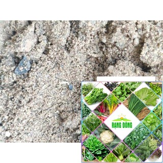 200 hạt giống hành hoa tím hat f1