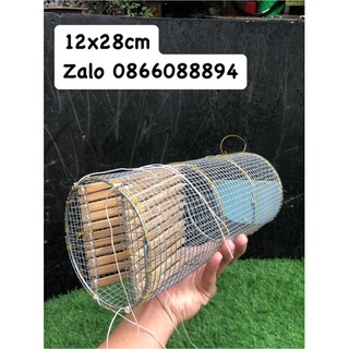 Bẫy ếch,Lợp ếch.🐸