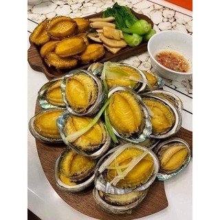 Bào ngư 1khay size 9 con (giao hoả tốc HCM)