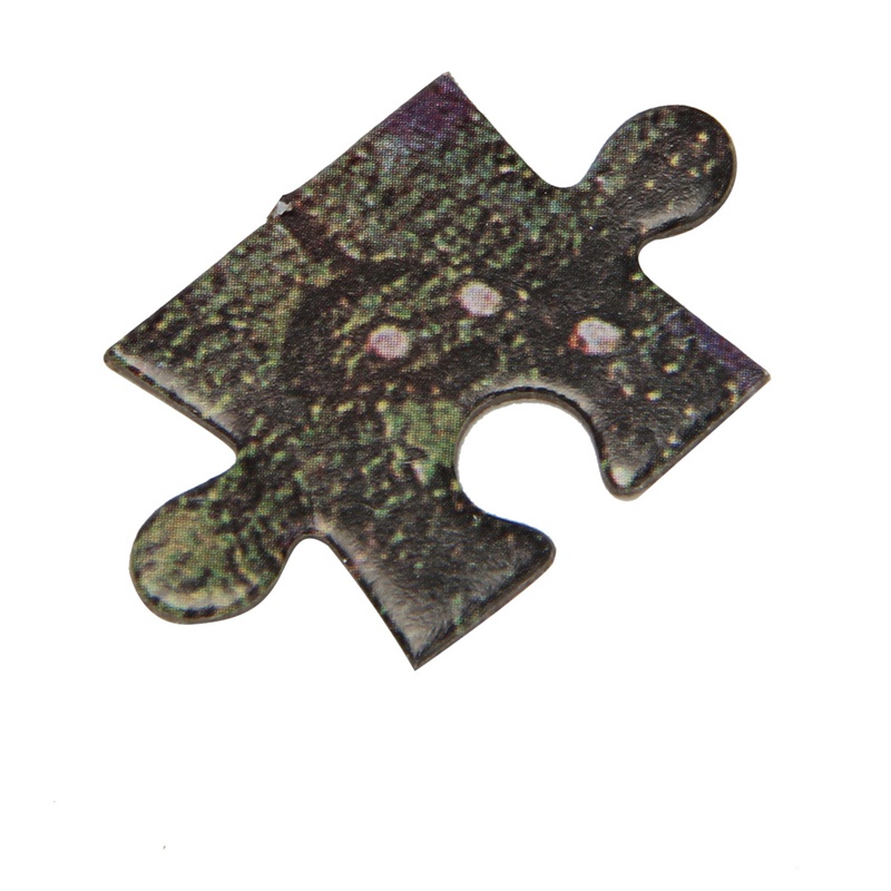 Bộ Đồ Chơi Xếp Hình 1000 Mảnh DIY 1019 Dành Cho Trẻ Em Và Người Lớn