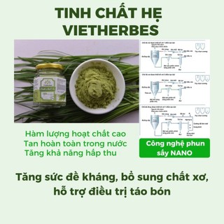 Tinh bột hẹ Vietherbes - 50g