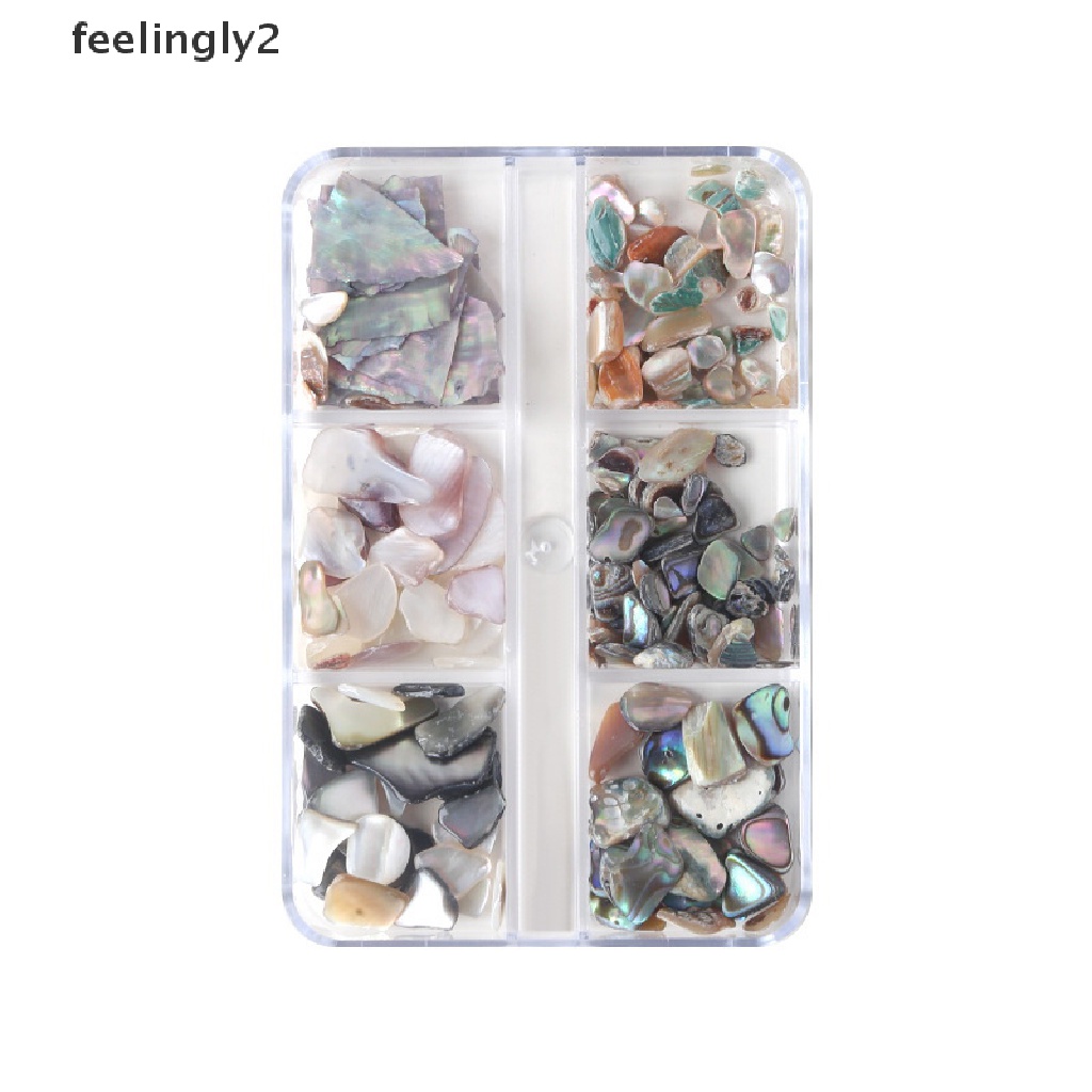 Hộp Vỏ Sò 3D Trang Trí Móng Tay 6 Ngăn Độc Đáo DIY