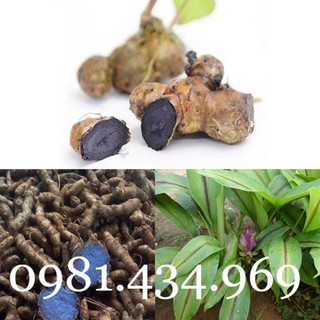 Nghệ đen tươi 01kg chuẩn tốt