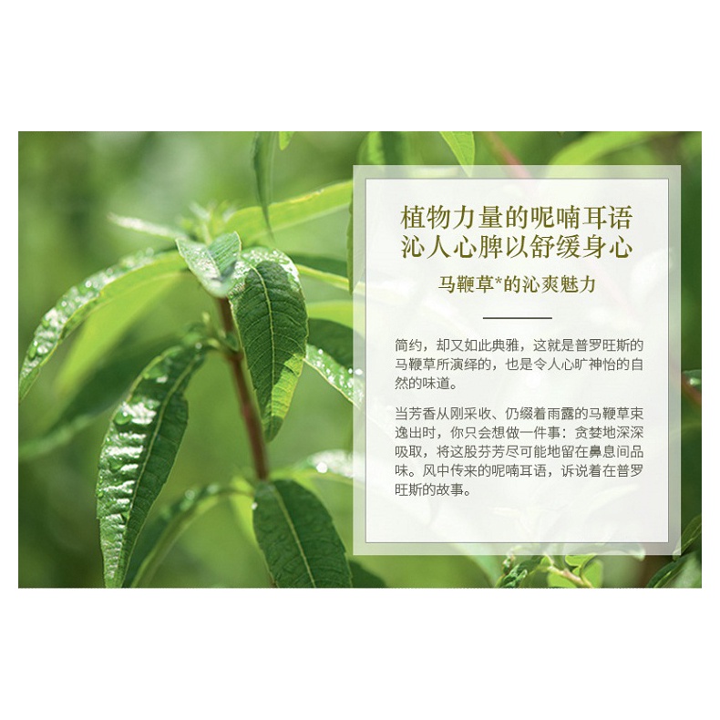 L'Occitane Fresh Verbena Shower Gel Shower Gel Moisturizing Rejuvenating Skin Cuticle Deep Cleaning 250ml Gel Tắm Verbena Tươi Mát Dưỡng Ẩm Trẻ Hóa Làn Da 250ml