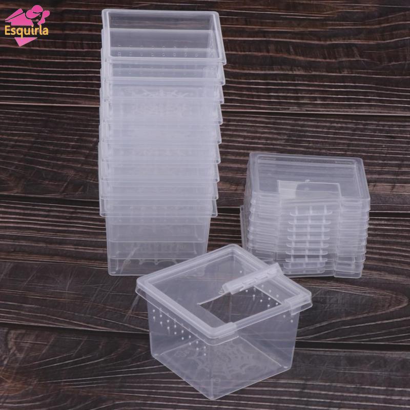 Bộ 40 Hộp Đựng Thức Ăn Trong Suốt Cho Bò Sát / Bò Sát / Thằn Lằn / Bò Sát