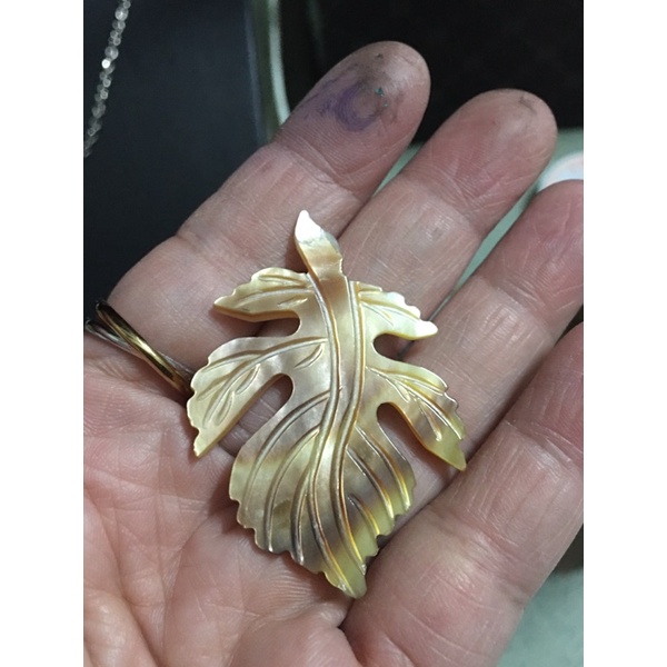 Đồ sưu tầm si tuyển Nhật