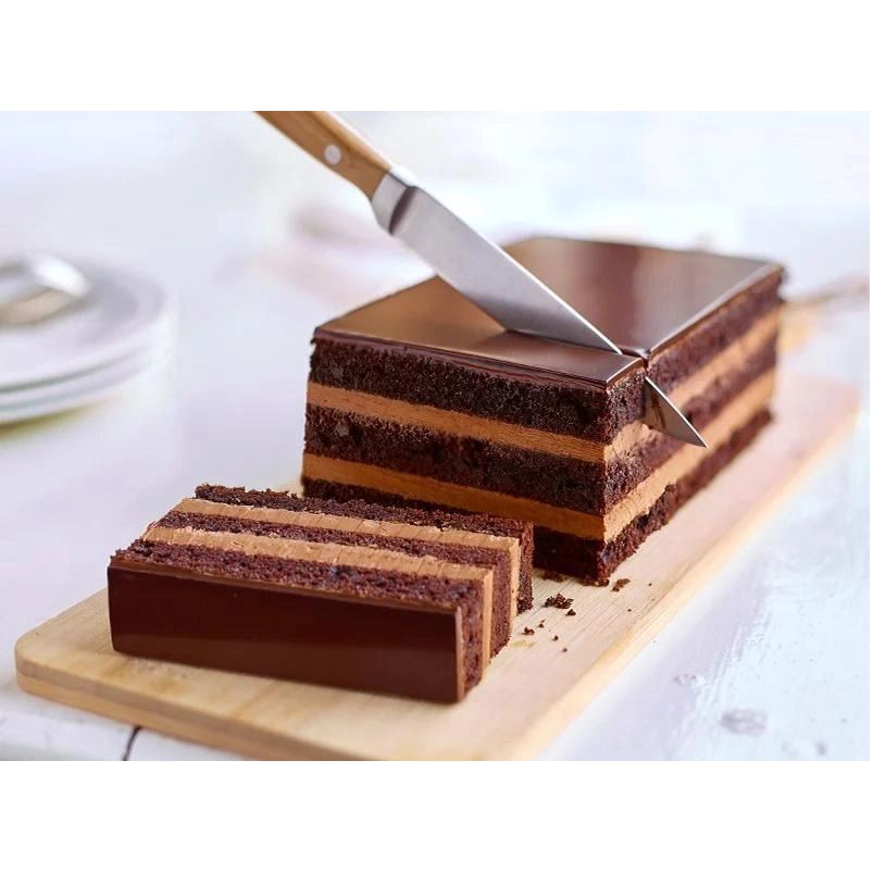 Socola hạt nut đen Puratos 55%