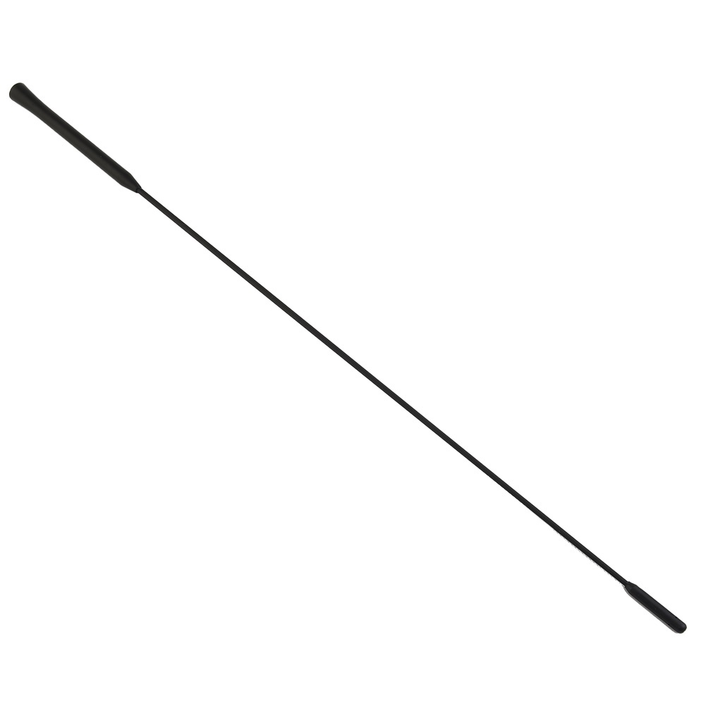 Ăng Ten Radio 16 Inch Thay Thế Chuyên Dụng Cho Xe Hơi Ford