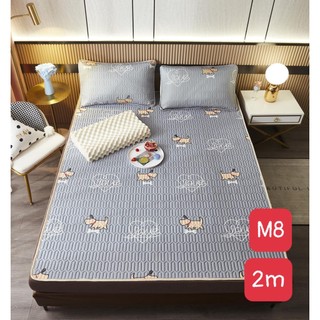 Chiếu điều hòa tencel,chiếu cao su non 2D,mẫu mưa hoa xanh