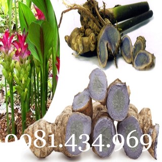 Nghệ đen tươi 01kg chuẩn tốt ngon
