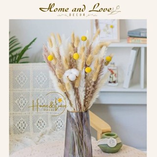 Hoa Khô Tự Nhiên Vintage decor trang trí- Cỏ đuôi thỏ, bông lau, lúa mạch, bông gòn