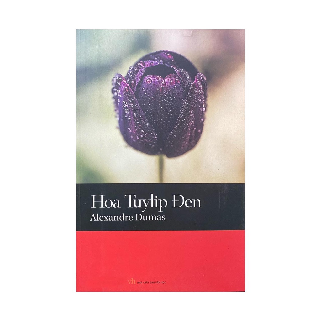 Sách - Hoa Tuylip đen ( 66k )