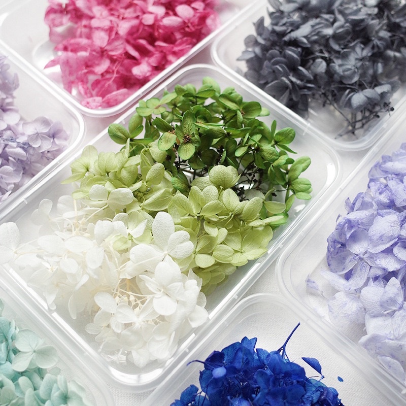 Hoa khô tú cầu làm nến, trang trí, resin