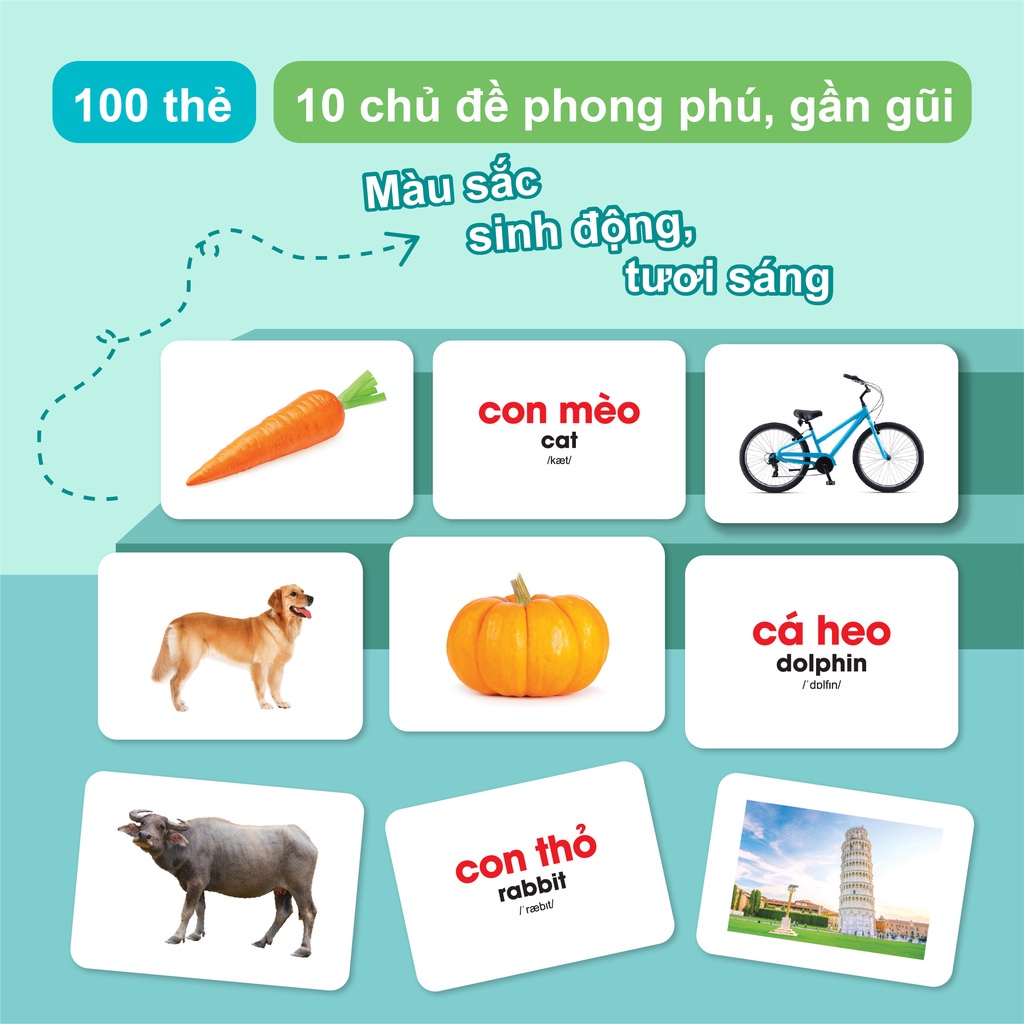 Flashcard - Bộ thẻ học thông minh song ngữ Glenn Doman Thế Giới Xung Quanh