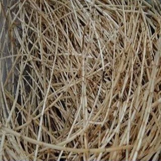 rễ tranh tươi( không  gửi  hàng miền bắc)