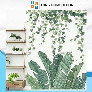 Decal dán tường hàn quốc trang trí phòng ngủ TUNG DECOR QR05 Lá Chuối Thường Xuân