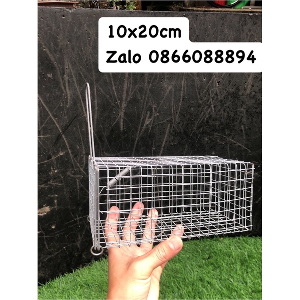 Lồng bẫy chuột,sóc.10x20 chì