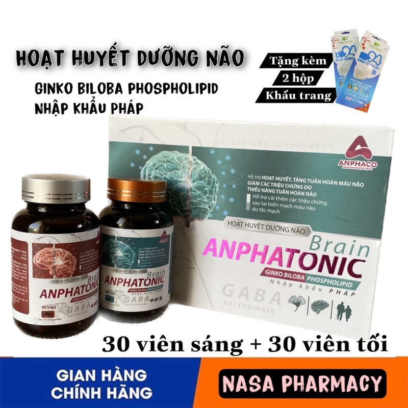Hoạt huyết dưỡng não tăng tuần hoàn máu não Brain Anphatonic