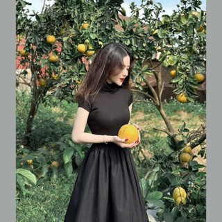 Váy maxi thun tăm,đầm nữ dáng dáng dài tiểu thư-hana82