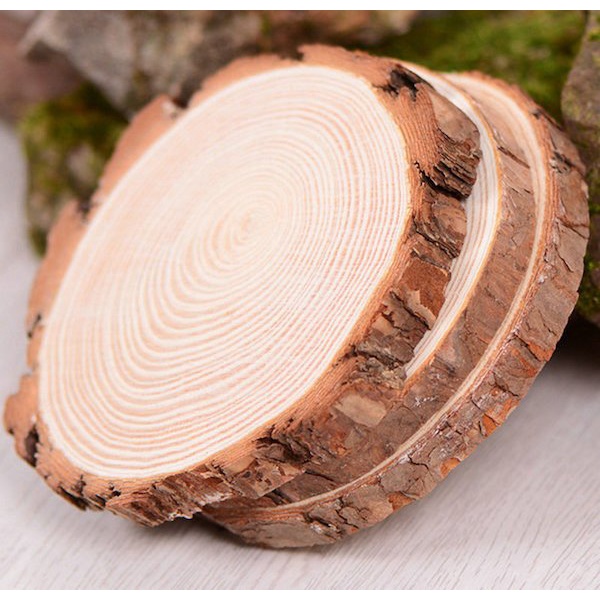 Lát gỗ trang trí nhiều kích thước dùng để trang trí decor,lót cốc,...