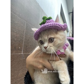 Mũ len dễ thương cho thú cưng
