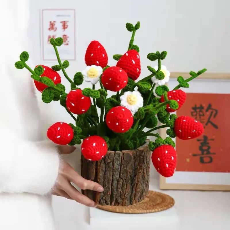 Chậu Cây Cam/Dâu Len Tự Đan DIY Handmade