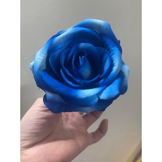 Hồng nhung 1 bông rời trang trí