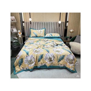 Chăn mền hè thu lụa thái tencel hàng nhập khẩu sang trọng siêu mềm mát kích thước 2mx2m3