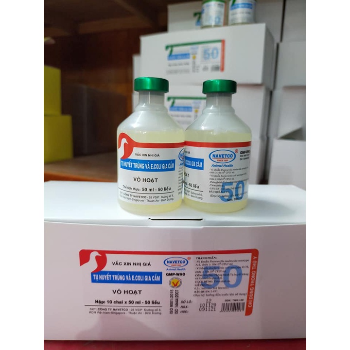 Navetco niucatxơn Chủng Tụ Huyết trùng + Ecoli 50 con cho gà
