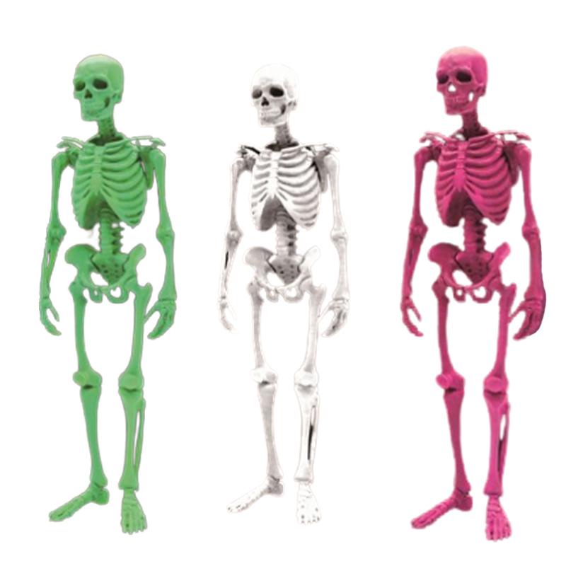 Viên Nang Đồ Chơi Hình Xương Người SO-TA Bảo Tàu Ngay Lập Phương Nhật Bản Có Thể Vừa Vặn Trang Trí