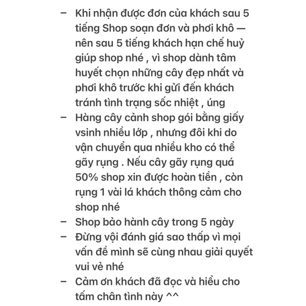 Sen Đá Sỏi Kẹo Mini - có mùi thơm
