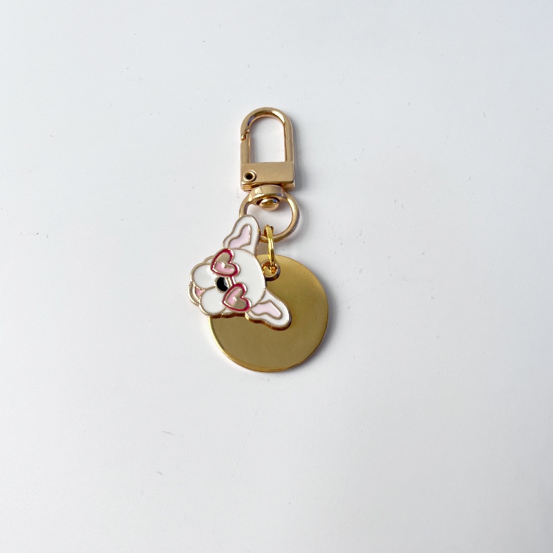 Thẻ Tên Thú Cưng 2.5cm Bằng Thép Không Gỉ Gắn Móc Khóa / Điện Thoại