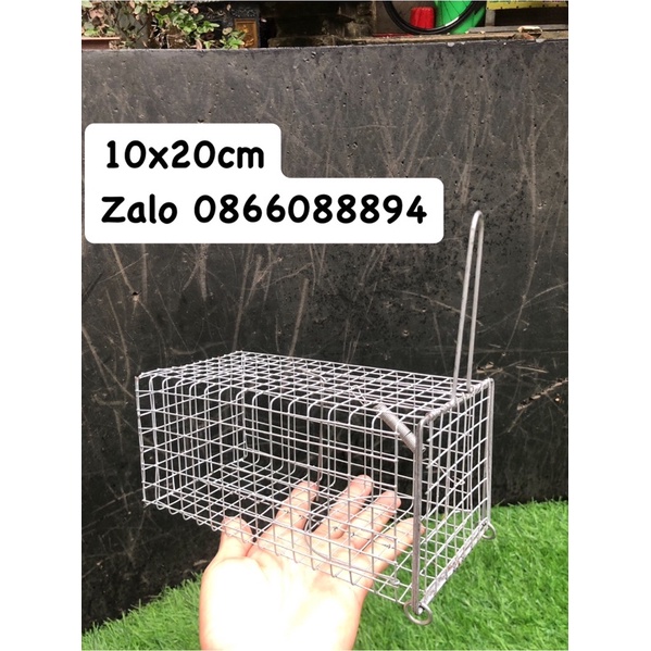 Lồng bẫy chuột,sóc.10x20 chì