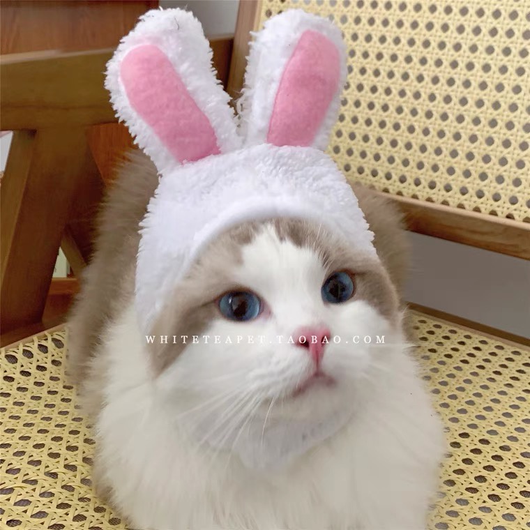 Elsabell. Mũ thú cưng Trọng lượng nhẹ Polyester Mềm mại Thoải mái di động mèo dễ thương cho chó