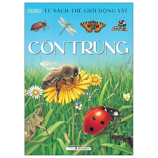 Sách Thế Giới Động Vật - Côn Trùng