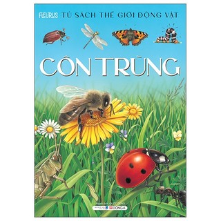 Sách thế giới động vật - côn trùng