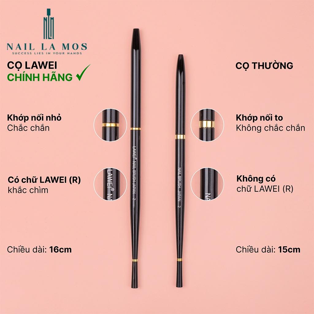 Cọ Lawei 10 cây cao cấp