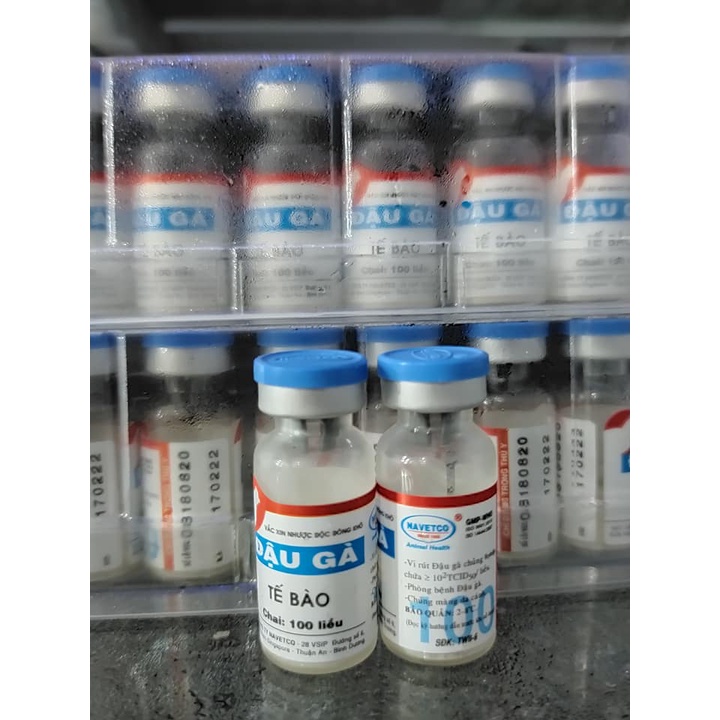 Navetco niucatxơn Chủng Đậu gà100 con Đâu gà Date 2 năm kể từ ngày sản xuất Vitamin & chất bổ sung dinh dưỡng