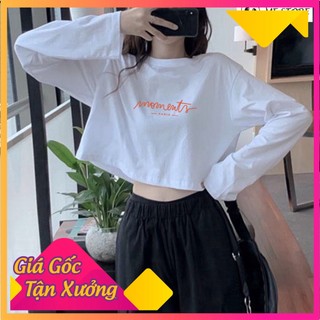 Áo thun tay dài thu đông croptop in hình moment Ulzzang form rộng dáng rộng chất liệu 100% cotton