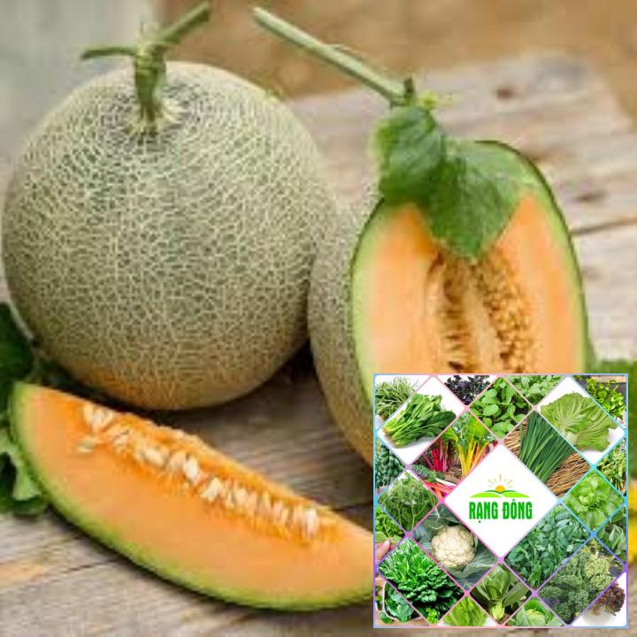 Gói 20 hạt giống dưa lưới xanh