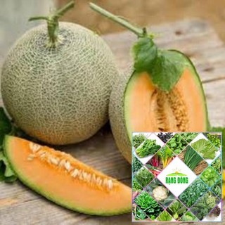 Gói 20 hạt giống dưa lưới xanh